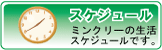 XPW[̃y[W